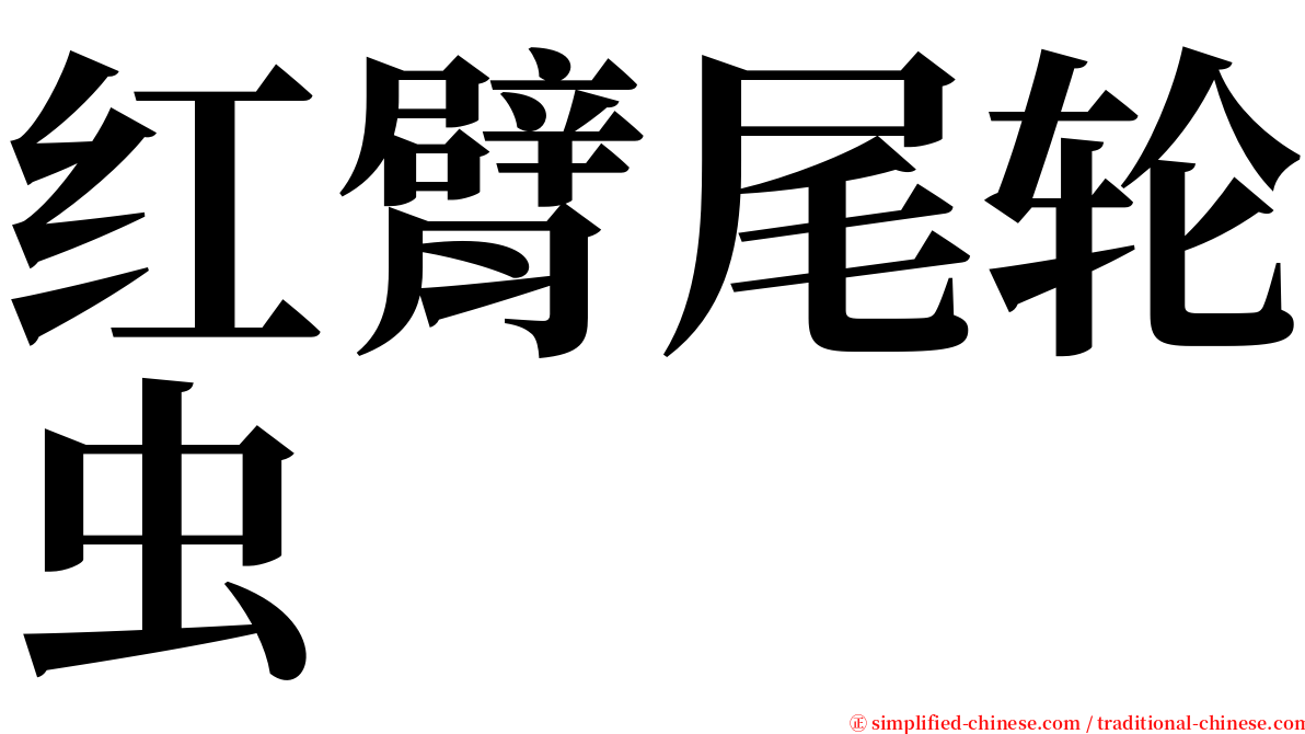 红臂尾轮虫 serif font