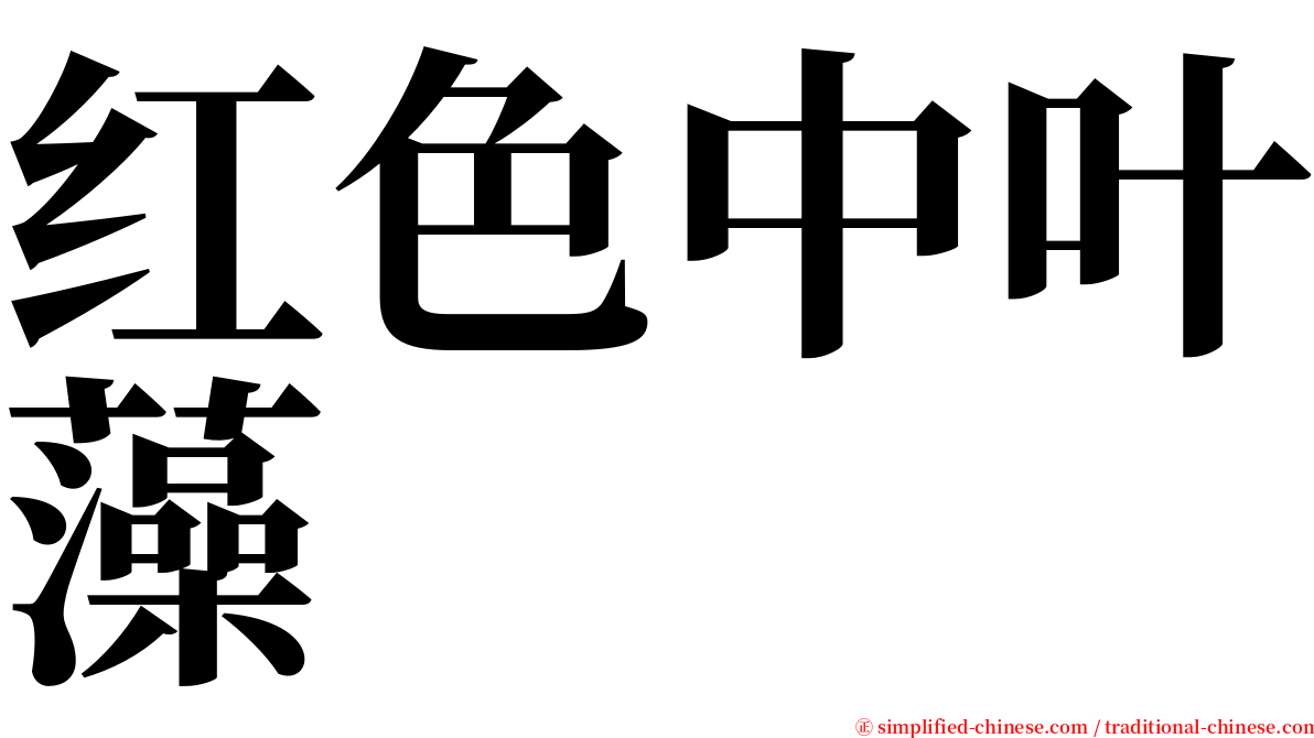 红色中叶藻 serif font