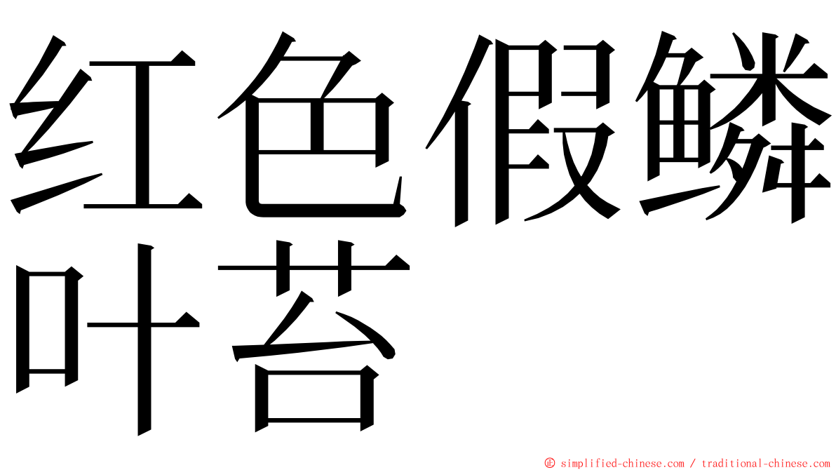 红色假鳞叶苔 ming font
