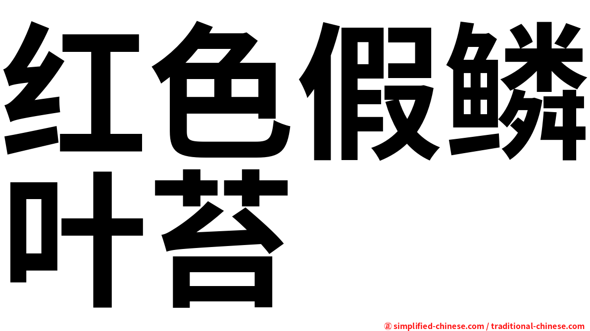 红色假鳞叶苔