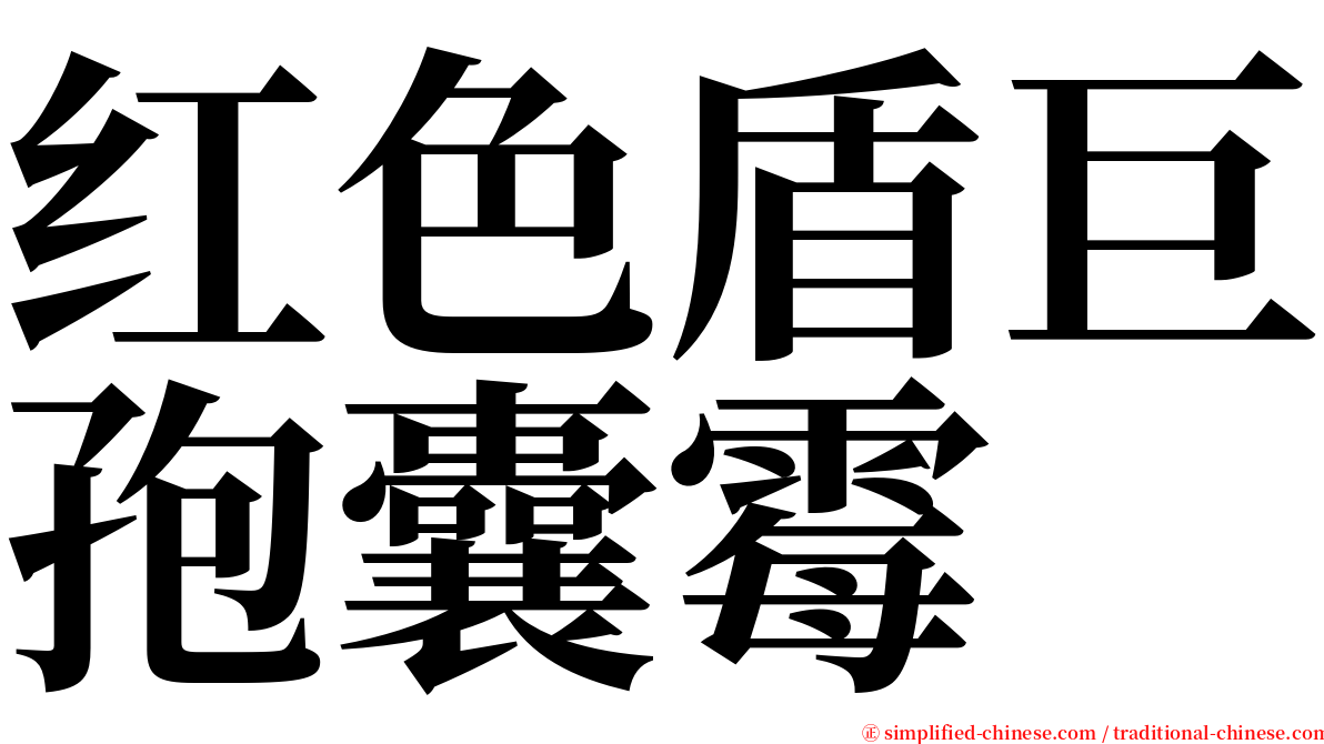 红色盾巨孢囊霉 serif font