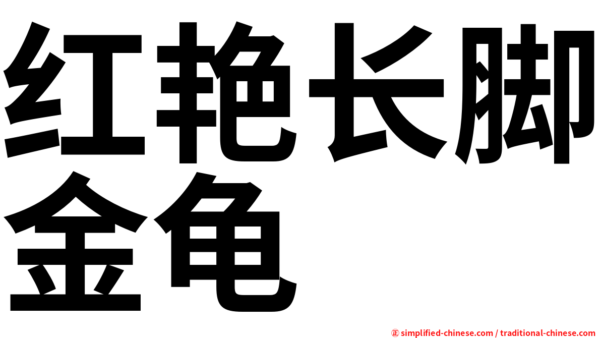 红艳长脚金龟