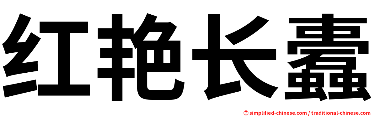 红艳长蠹
