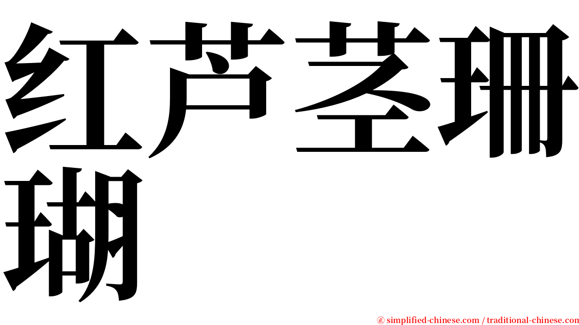 红芦茎珊瑚 serif font