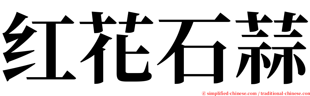 红花石蒜 serif font