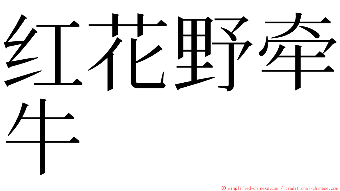 红花野牵牛 ming font