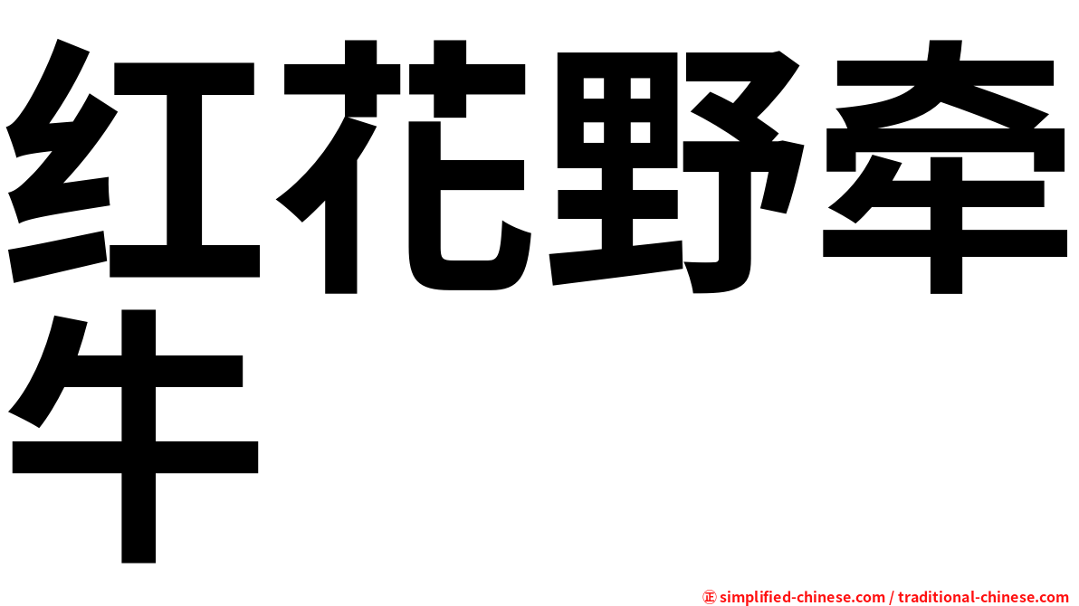 红花野牵牛