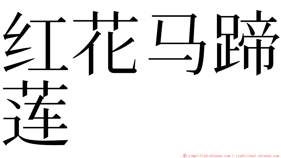 红花马蹄莲 ming font