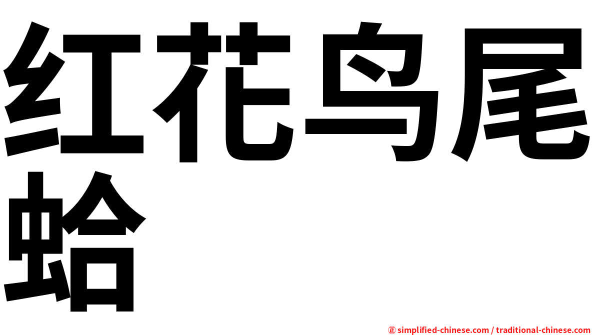 红花鸟尾蛤