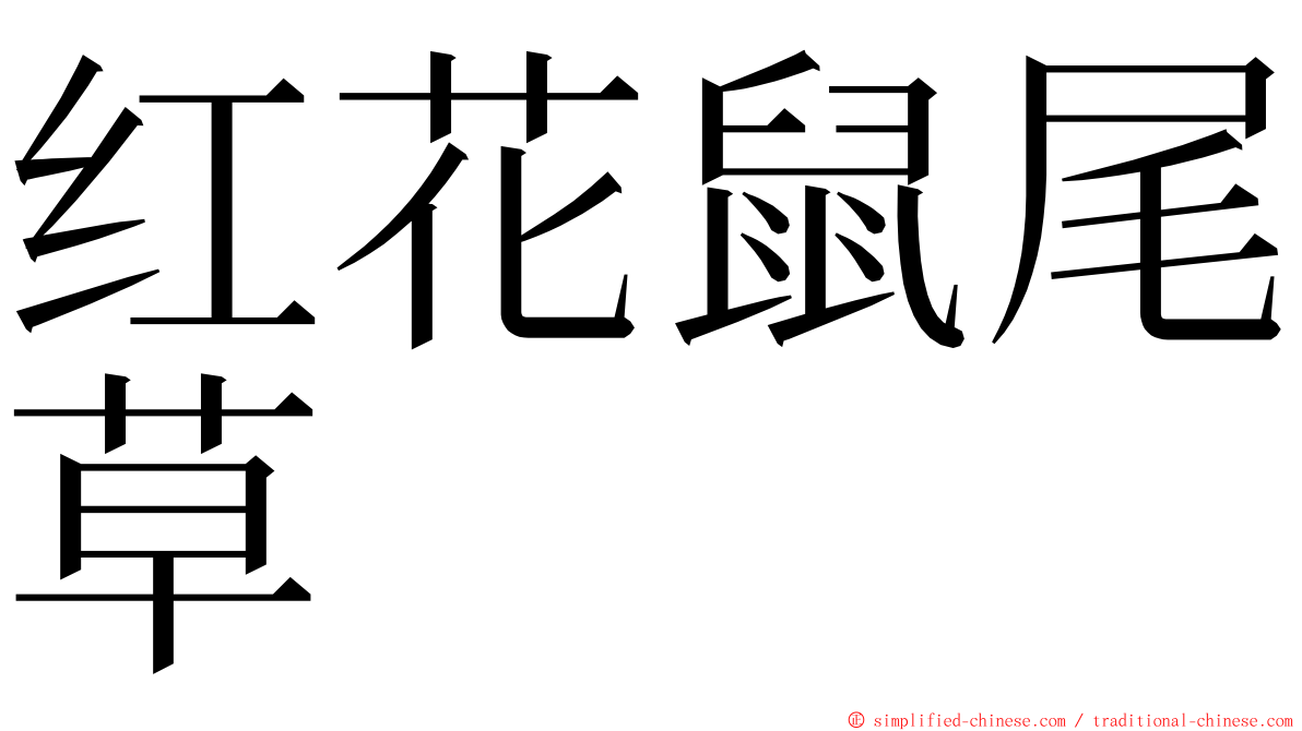 红花鼠尾草 ming font