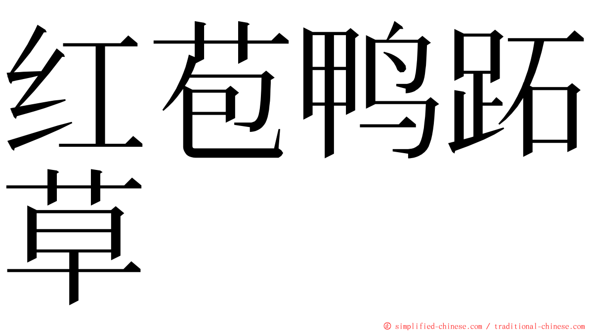 红苞鸭跖草 ming font