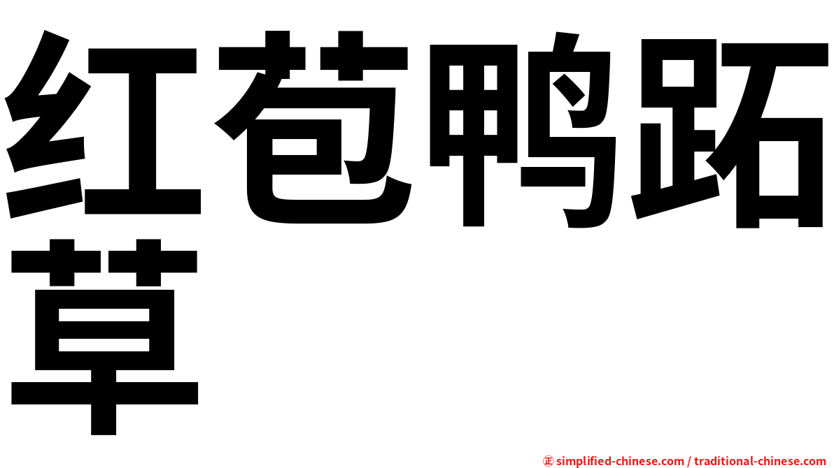 红苞鸭跖草