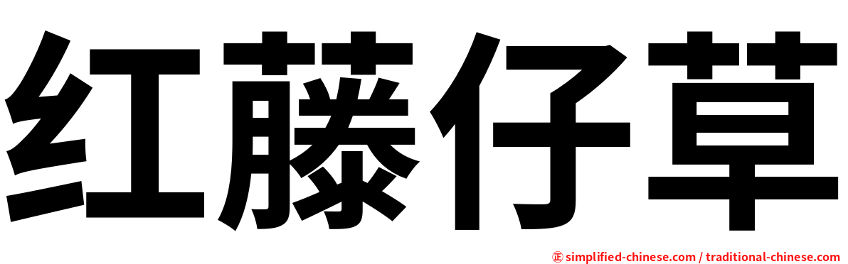 红藤仔草