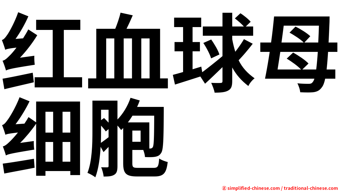 红血球母细胞