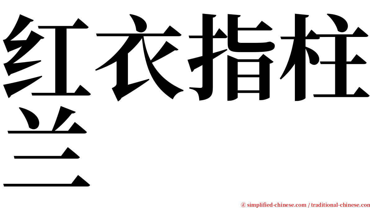 红衣指柱兰 serif font