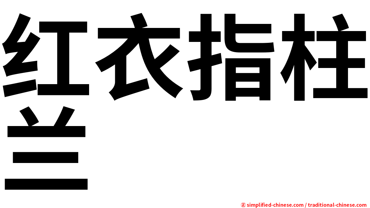 红衣指柱兰