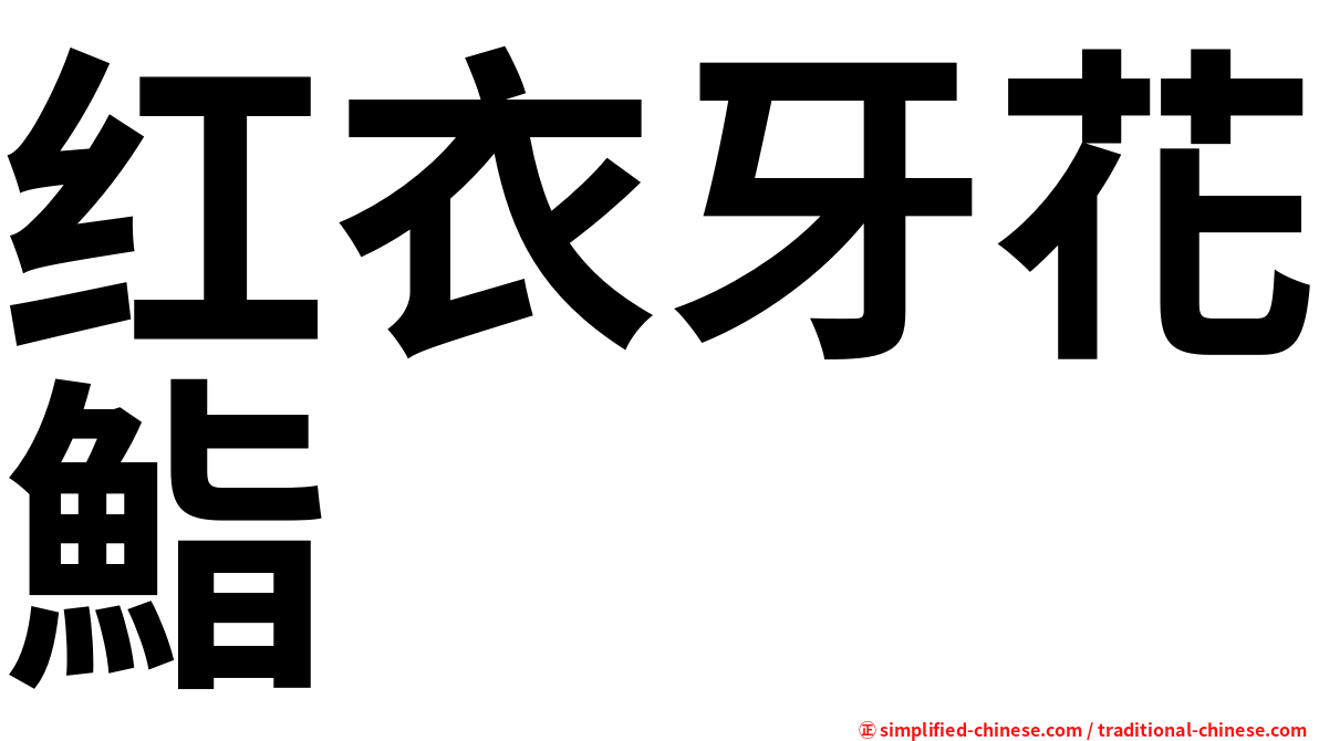 红衣牙花鮨