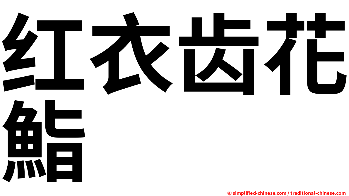 红衣齿花鮨