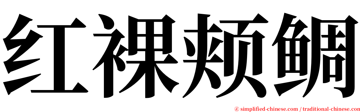红裸颊鲷 serif font