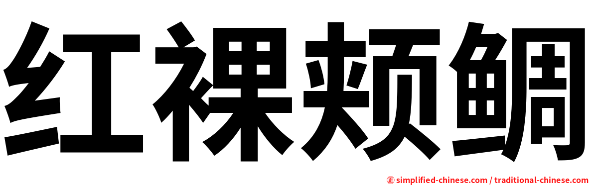 红裸颊鲷