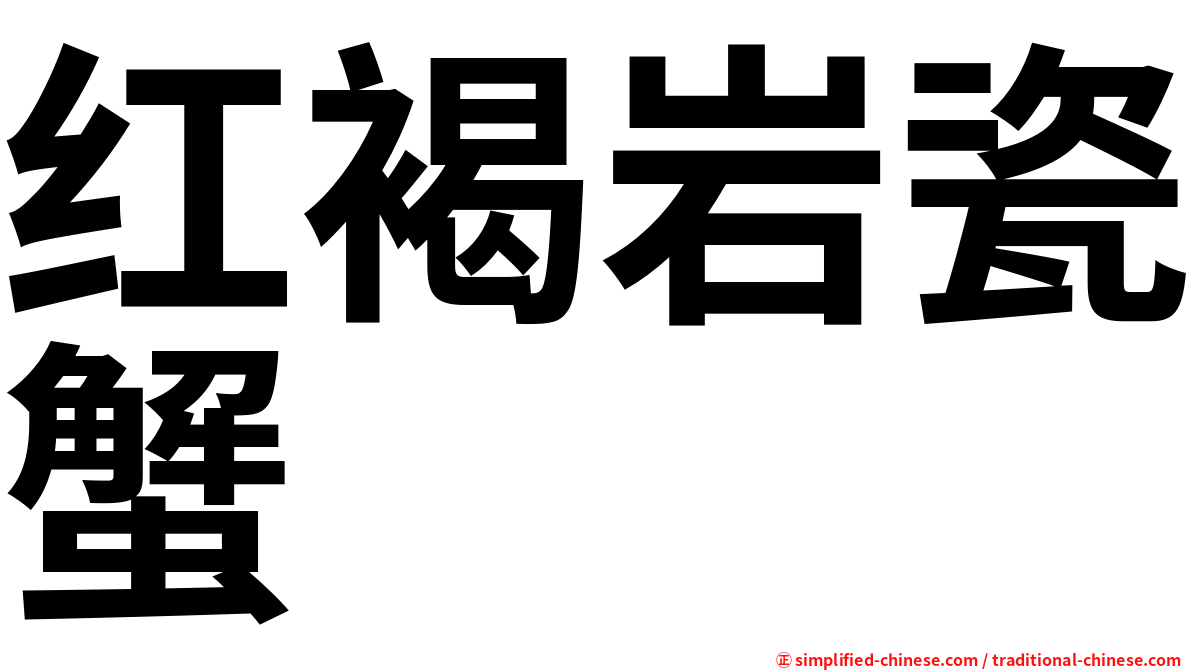 红褐岩瓷蟹