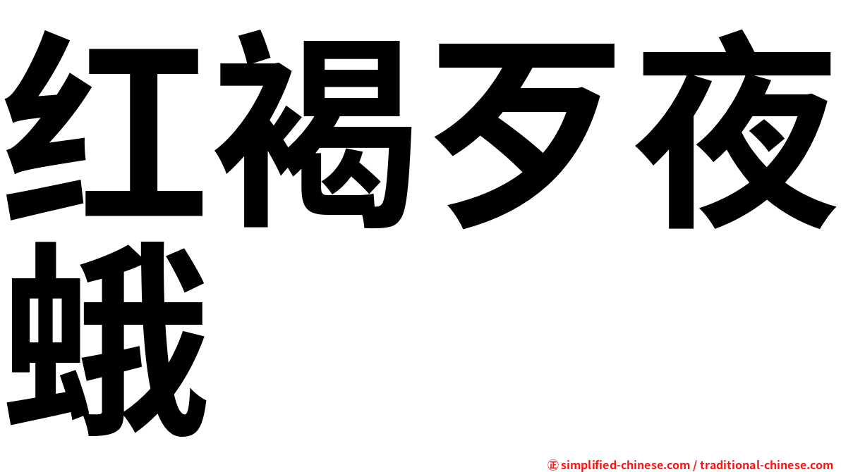 红褐歹夜蛾