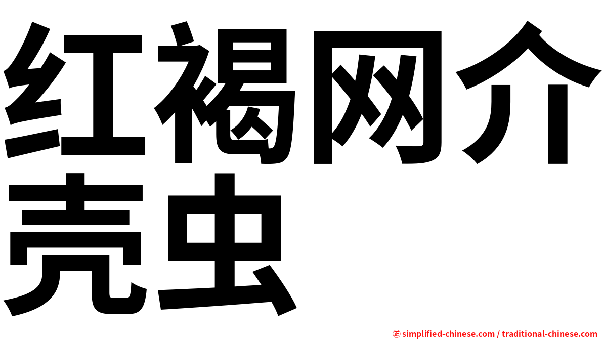 红褐网介壳虫