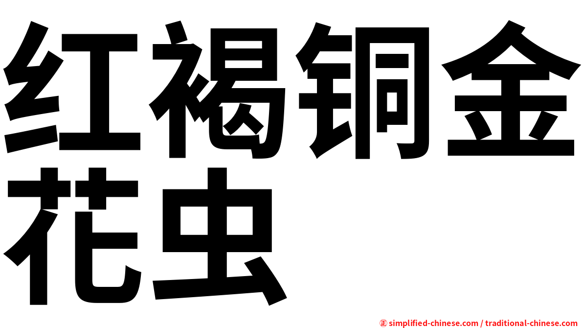 红褐铜金花虫