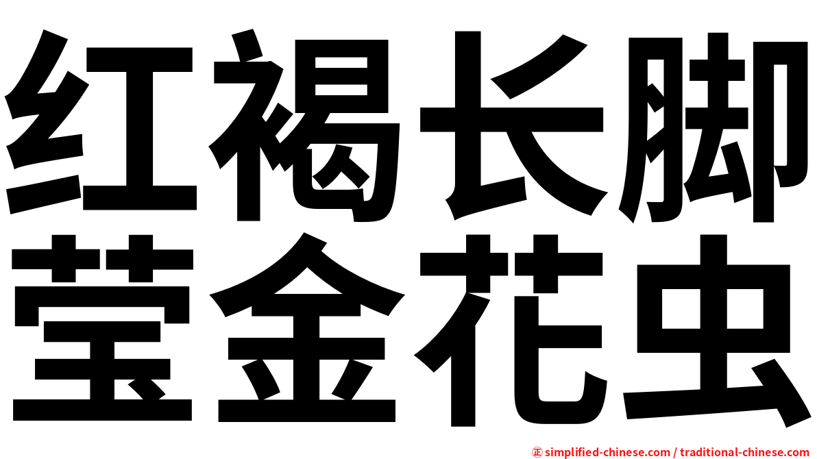 红褐长脚莹金花虫