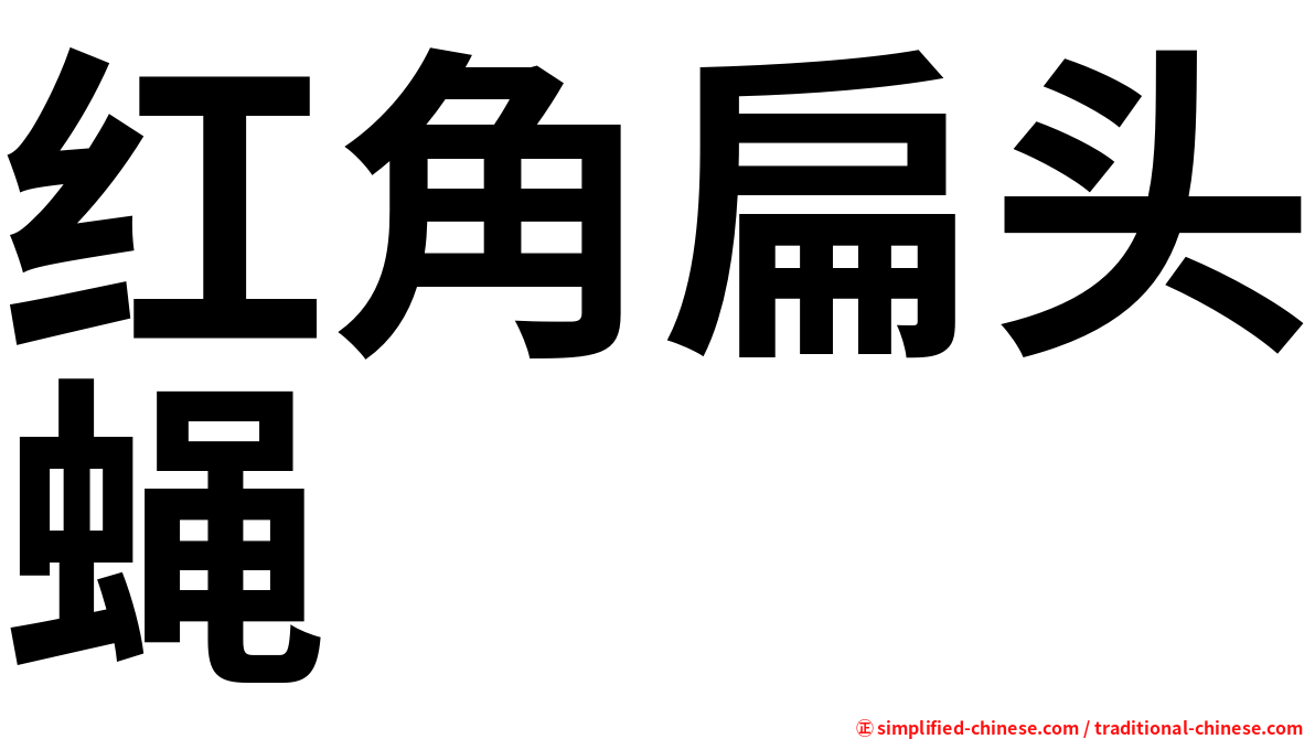 红角扁头蝇
