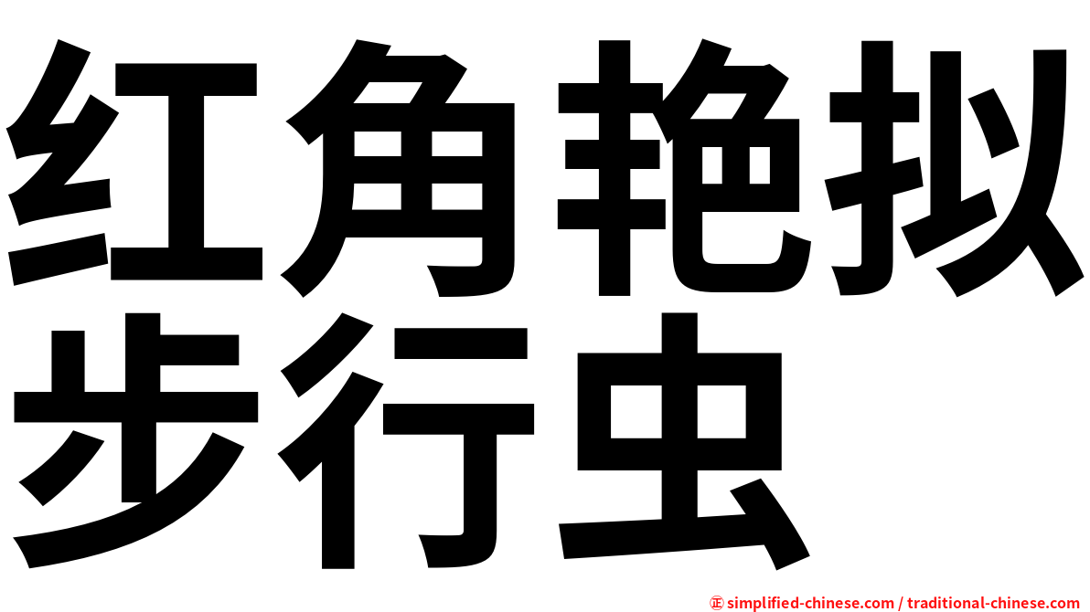 红角艳拟步行虫