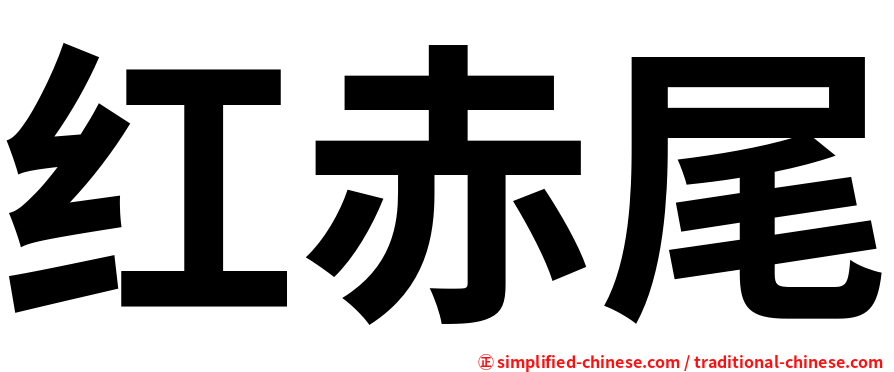 红赤尾