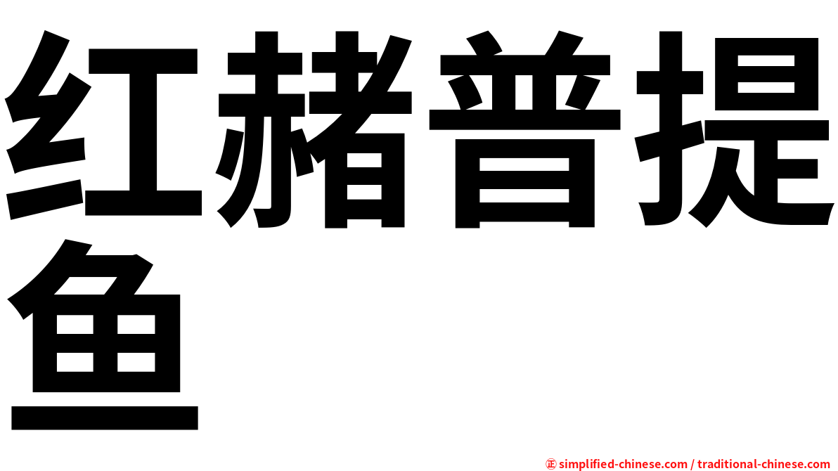 红赭普提鱼