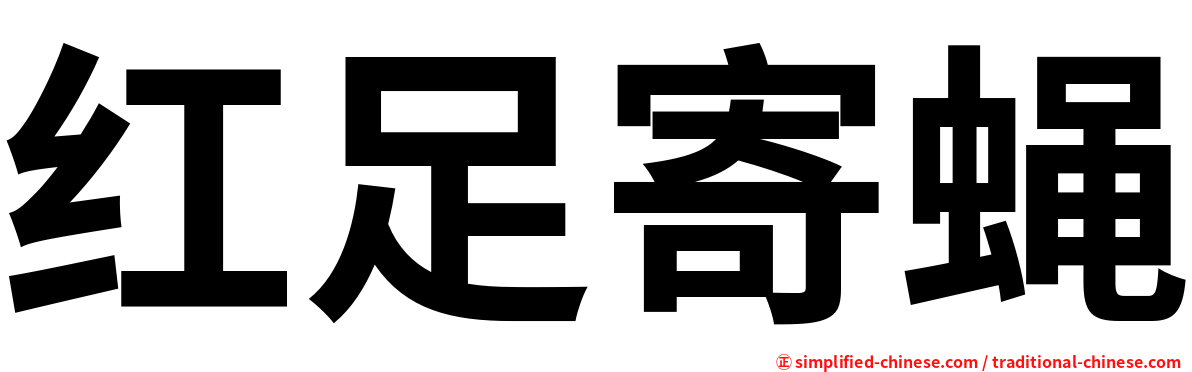 红足寄蝇