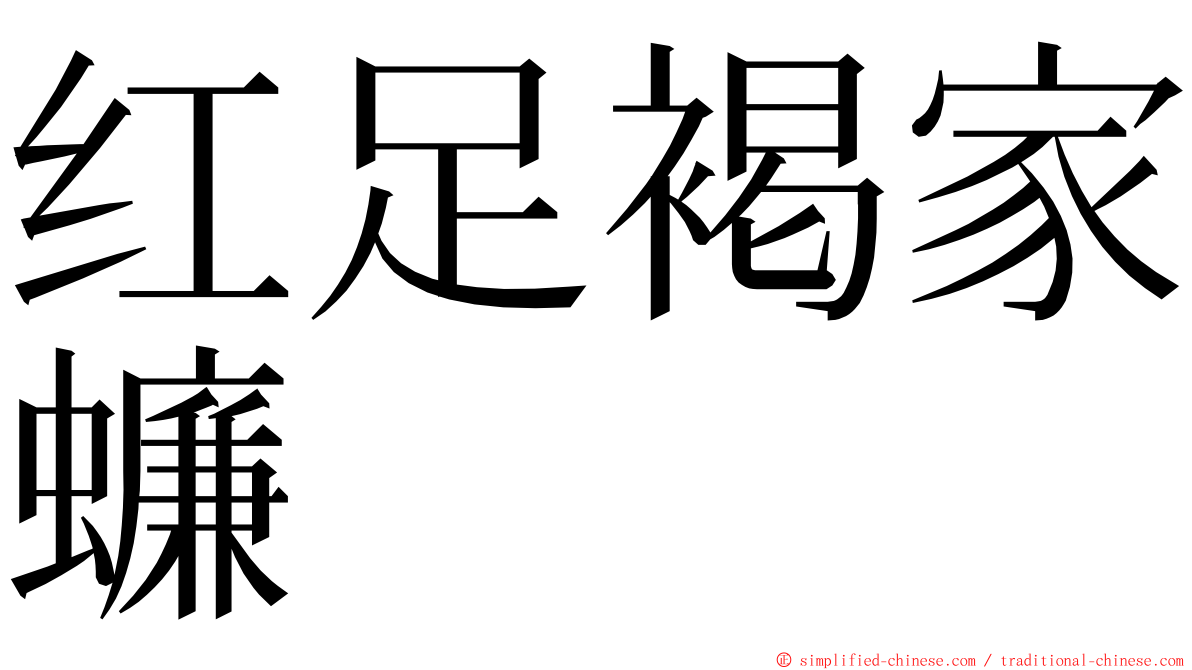 红足褐家蠊 ming font