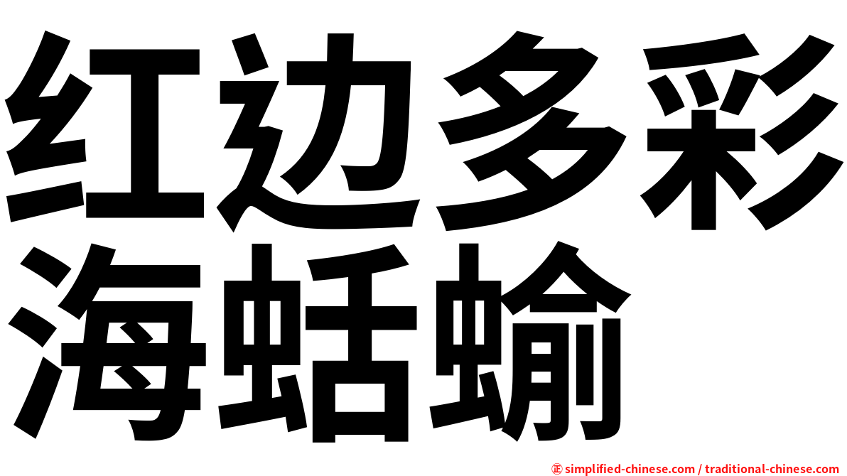 红边多彩海蛞蝓