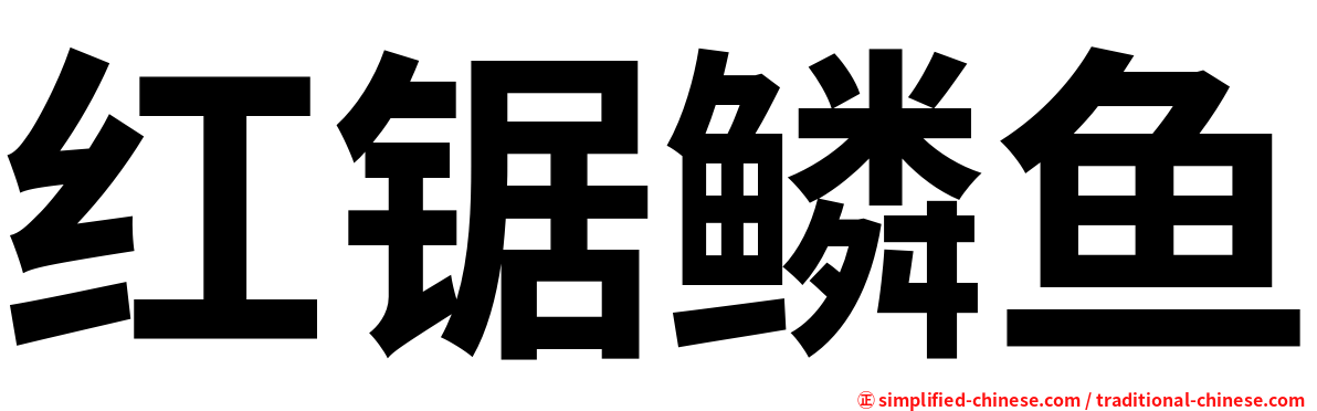 红锯鳞鱼