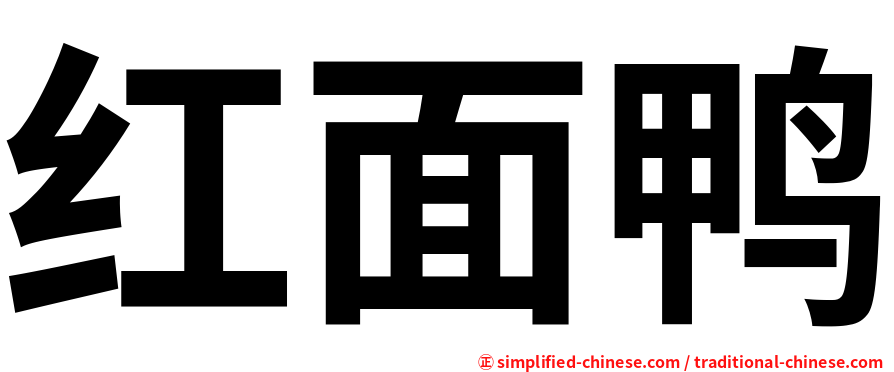 红面鸭