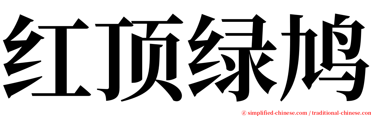红顶绿鸠 serif font