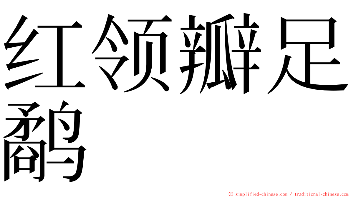 红领瓣足鹬 ming font