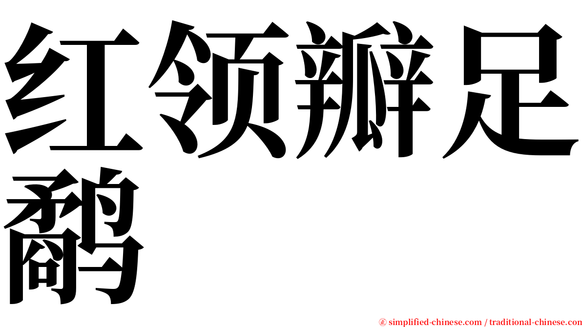 红领瓣足鹬 serif font