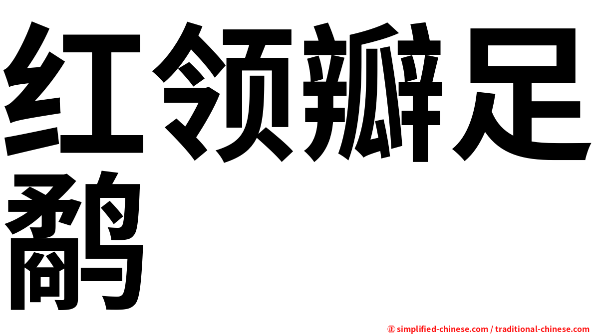 红领瓣足鹬