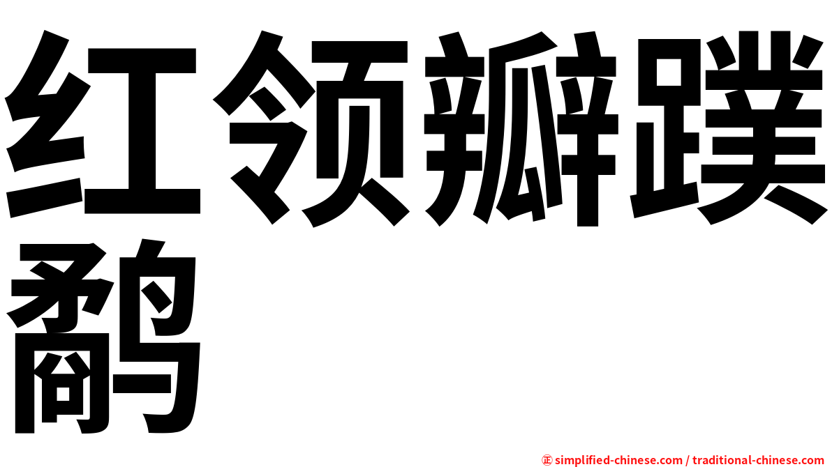 红领瓣蹼鹬
