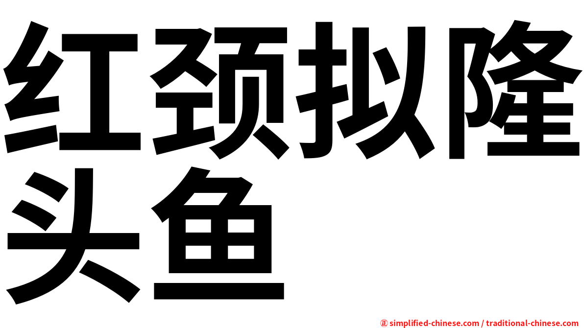 红颈拟隆头鱼