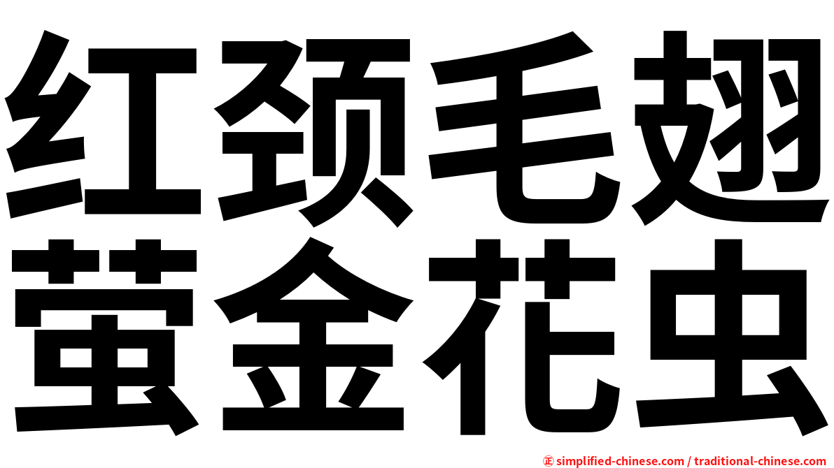 红颈毛翅萤金花虫