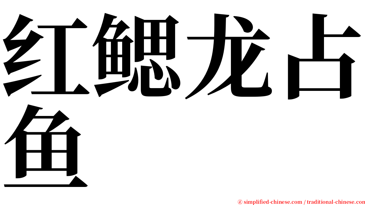 红鳃龙占鱼 serif font