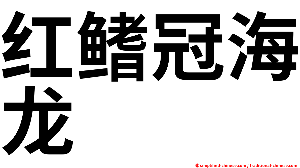 红鳍冠海龙