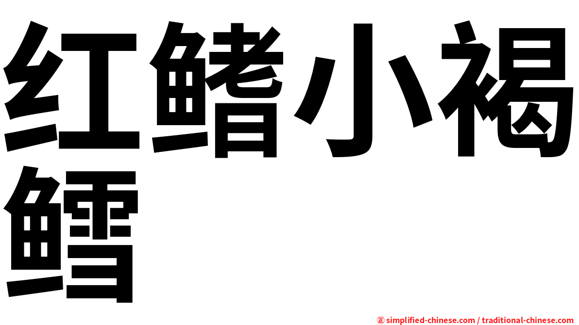 红鳍小褐鳕