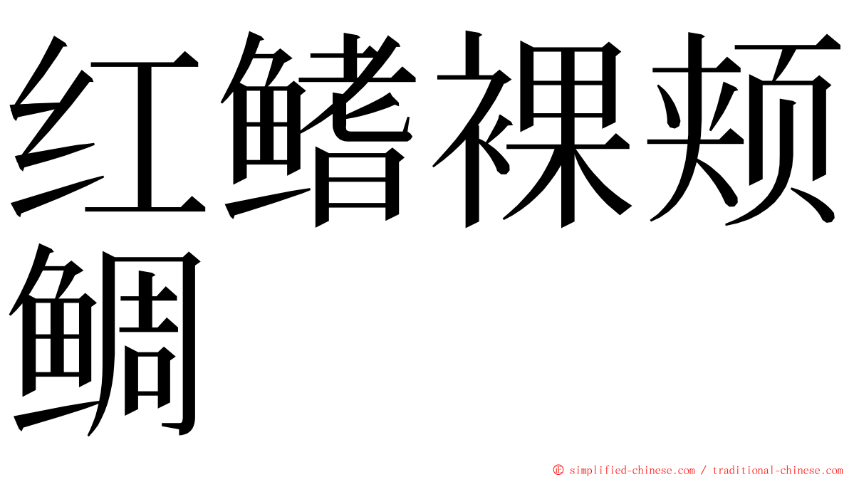 红鳍裸颊鲷 ming font