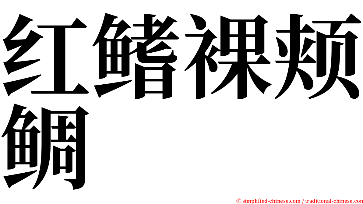 红鳍裸颊鲷 serif font